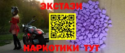 амф Гусев