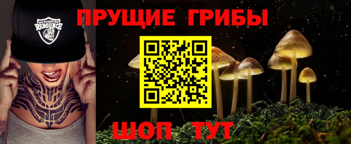 Галлюциногенные грибы Psilocybine cubensis Лысьва