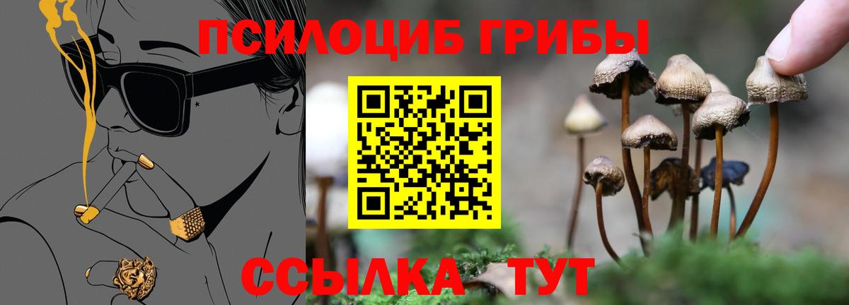 Лысьва  Галлюциногенные грибы прущие грибы  где найти   Галлюциногенные грибы мухоморы  Вход с VPN 